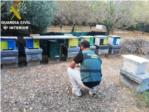 La Guardia Civil detiene a un varón por un delito de hurto continuado de colmenas de abejas en Real