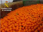 La Guardia Civil investiga a 6 personas por delitos relacionados con la sustraccin y venta ilcita de naranjas