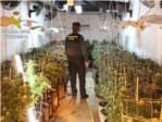 La Guàrdia Civil d'Almussafes destapa el cultiu de marihuana en 2 naus industrials a Benifaió