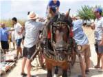 La Penya El Senill de Montserrat ha organitzat un Concurs de Tir i Arrossegament