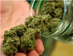 La Policía Nacional desarticula un grupo criminal en Alzira dedicado al cultivo y venta de marihuana