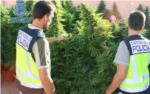 La Policia Nacional desmantella una plantació de marihuana en un xalet a Montserrat