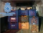 La Policia Nacional deté a tres persones i intervé 1.600 quilos de taronges robades a Alzira i Algemesí