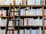 La Policía Nacional detiene a un hombre por no devolver más de 200 libros de una biblioteca