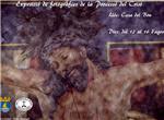 La process del Crist de les Campanes d'Albalat de la Ribera, complix 50 anys