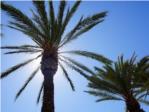 La Ribera disfrutar d'un cap de setmana solejat i temperatures al voltant dels 33 graus de mxima