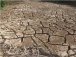 La sequía ocasionada por El Niño pone en riesgo de hambruna a millones de personas