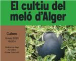 LA UNIÓ organitza una xarrada informativa sobre el cultiu del meló este dijous a Cullera