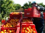 LA UNIÓ denuncia la venda de taronges procedents de Sud-àfrica en una cadena de supermercats