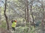 Labora convoca ajudes perquè els ajuntaments contracten persones desocupades per a conservació forestal