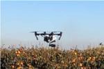 L'Ajuntament d'Algemesí inicia el servei de vigilància del terme municipal amb drons