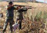 L'Ajuntament d'Alzira recomana no acudir a La Casella el diumenge per una batuda de caça