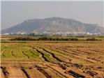 Los arroceros valencianos inician la campaa con un aumento del 30% de los costes fitosanitarios