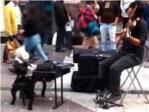 Músicos y artistas callejeros | Un artista chileno toca el violín y su marioneta le acompaña al piano