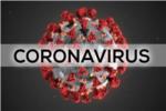 Sanitat notifica 1.078 nous casos de coronavirus en la Comunitat Valenciana, 614 d'ells en persones majors de 60 anys