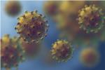 Sanitat notifica 2.039 nous casos de coronavirus en la Comunitat Valenciana, 1.150 d'ells en persones majors de 60 anys