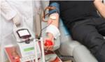 Sanitat realitza un assaig clínic amb infusió de plasma de pacients que han superat el COVID-19