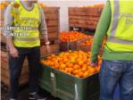 Seis detenidos por la sustraccin de 175.000 kilos de naranjas en Alginet y Algemesi