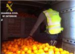 Un detenido por falsificación de documentos de 30 toneladas de naranjas en Sueca