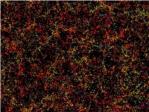 Un mapa rcord de ms de un milln de galaxias para estudiar la energa oscura