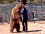 Un oso mata a un hombre de un mordisco en el cuello
