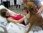 Una paciente con cncer terminal se despide de su perro