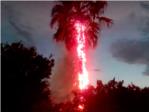 Uno de los rayos caídos en Alzira fulmina una palmera cerca de una empresa pirotécnica