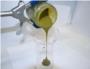 Convierten algas en petróleo crudo en solo unos minutos