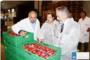La Cooperativa de Carlet exportar el 80 % de la produccin de la campaa de melocotn y nectarina