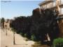 El Ayuntamiento de Alzira incumple el Plan Especial de Proteccin de la Vila en el Parque de las Murallas