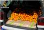 La Guardia Civil recupera cerca de 300 kilos de naranjas sustraídas de un campo de Carcaixent
