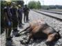 Un tren atropella y mata a seis caballos (Video)