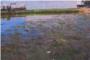 Comproms Carlet alerta duna zona verda del polgon sha convertit en una bassa pudenta