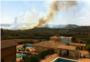 Un incendio forestal quema una zona de pinar en Montroi