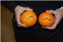La Unió pide a la Conselleria de Agricultura que investigue el rajado de naranjas durante esta campaña