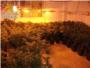 La Guardia Civil desmantela un laboratorio clandestino de marihuana en Alberic