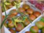 El Perelló firma acuerdos para el mercado marinero y el fomento del tomate en Madrid