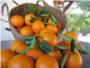 La firma Naranjas Lola de Cullera, pionera en la venta online, prev mantener los beneficios este ao