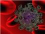 Bacterias intestinales influyen en la recuperacin inmunolgica de las personas con VIH