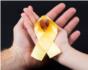 Carlet commemorarà el Dia del Càncer Infantil amb un gran llaç daurat