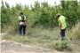 Carlet contracta 28 persones per a la neteja de camins durant el mes de juliol