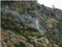 Conato de incendio provocado por un rayo en La Casella de Alzira