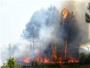 Desde hoy quedan prohibidas las quemas agrcolas a menos de 500 metros de terreno forestal