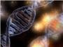 El ADN siempre espera en los archivos de la policía científica