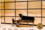 El jove pianista-compositor de Sueca Ferran Lpez-Carrasquer guanya el Grand Prize Virtuoso de Viena