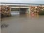 El temporal de pluges i inundacions de desembre deixa una xifra de pèrdues en el camp propera als 320 milions d'euros