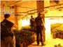 La Guardia Civil desmantela un cultivo de 340 plantas de marihuana en un domicilio de Llombay