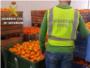La Guardia Civil desmantela una red que robaba naranjas en Sueca y otras localidades