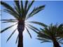 La Ribera disfrutarà d'un cap de setmana solejat i temperatures al voltant dels 33 graus de màxima