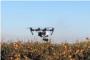 L'Ajuntament d'Algemesí inicia el servei de vigilància del terme municipal amb drons
